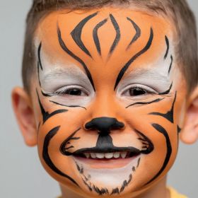 Kit maquillage enfant bio 4 couleurs Tigre