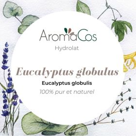 Eucalyptus globulus
