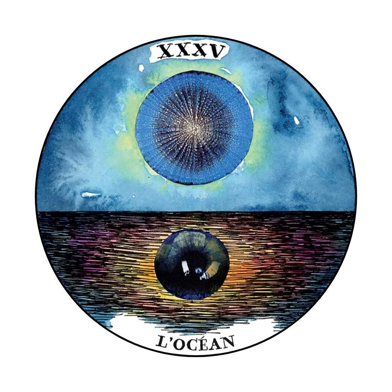 Tarot sauvage et inconnu des archétypes – Kim Krans